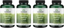 Swanson Stinging Nettle Leaf (Urtica Dioica) - Herbal Supplement Primoting Urinary Tract & Respiratory Health Suram Balance - (120 Capsules) (4 Pack)