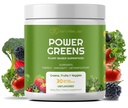 Red 's Kitchen Sink Power Greens Powder - Daily Greens Superfood Powder - Fruity, Veggie, & Green Leafy Smoothie Drink Mix - Superfoods Maca Root, Spirulina, Chlorella, & More (200 Grams)