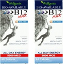 Wellgenix Bio- Tersedia Sublinual B12 Max - Formulated untuk Absorpsi Tinggi - Nutransi Multivitamin B12, B6, Mengalir - Dissolve Cepat (60 Ct) 2 Pack