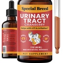 Obat Penampakan Rangkaian Uriner untuk Kucing dan Anjing.