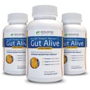 Gut Alive - All Natural Support to Fight IBS, Heartburn, Acid Inditraffic, Acid Reflux, Bloating & Gas. Unik Formulasi (60 Cacah (Paket 3))