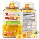 Ginger Chews Gummies for Nausea & Digetical Support, Stomach Relief, Sugar Free with Turmeric, Odorless Garlic, Quercetin, Vitamin D3, Digeptical Supplication for Occational Bloating & Gas, 2Pack