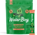 Hidration Waterboy Workout 124; 2.960mg Sugar Free Electrolyte Pawkers 134; L-Glutamine + Vitamin 124; No Sugar, All Natural, Gluten Free Sounds 124; 15 Drum Stick Mixes (Fruit Punch)