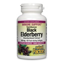 Faktor Alam Elderberry Hitam, 100 mg, 60 Fast- Bertindak Softgels