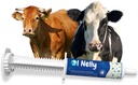 Ruminants Pra dan Probiotic Tempel (80g) - Pra dan Propines dengan Vitamin dan Minerals- 6 Strain dan 8 Milyar CFUL- Imune dan Dukungan Kesehatan Gastro untuk Semua Ruminants: Bovines, Goats & More