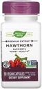 Nature 's Way Hawthorn Berries, 90 Capsules (Paket 2)
