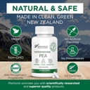 Suplai Palmitoylethanolamide Pea Suplemen 600mg - Micronized Pea Suplemen 99% - 2 Bulan Lanjutan Dukungan Alam untuk Kompak Bersama