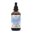 Astragalus USDA Organic Alcohol- Free Extract 124; Dietary Suplement, High- Potency Tarture 124; Natural Certified Organic Astragalus (Astragalus membranaceus) Root kering (4 oz)