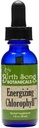 Kelahiran Song Botanicals Energizing Chlorofil Tackle, Super konsentrasi Clorophyll Drops, Herbal Energy Suplemen dan Internal Deodorizer, Mint Flavor 1oz Bottle
