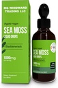 Limpound Laut Organik Moss Drops 126; 30.000 MG 126; Moss Laut dengan Bladderwrack, Elderberry 124; 4X Stronger Organic Sea Moss Daripada Pil dan Capsules untuk Hidup Secara Secara Secara Secara Secara Secara Sehat! 1 Botol
