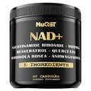 NAD + Tambahan dengan Nicotinamide Ribside, Resveratrol, Quercetin, Turmeric, Rhodiola Rosea - 60 Count