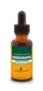 Herb Pharm Andrographis Extation for Immune System Support, 1 Fl Oz (Paket 1) (DANDRO01)