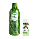 Univera untuk pergi Pack Aloe Vera Juice, Organik Aloe Vera, Mango Flavor Xtra Minis, Multimineral fruites Complex, 15 Natural Ingreations,