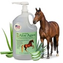 Doc Hoag 's Aloe Vera + Agiven Premium Horse Suplement - Made in USA - Original Udder Balm - Natural Gastric Dukungan untuk Kuda & Large Animals - Stress Relief & Ulcer Care, 128 Fl Oz.