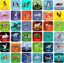 Hebayy 36 Pair Animal Matching Game Flash Cards Terhapus (Setiap Ukuran 2 "X 2")