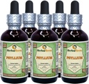 Psyllium (Plantago Ovata) Glycerite, Organic Dry Husk Alcohol- Free Liquid Extract (Nama Merek: HerbalTerra, Proughtly Made in USA) 5x2 Fl.oz (5x60 ml)