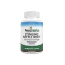 Herbs Stinging Nettle Root Extract 7500mg (750mg of 10: 1 Ekstraksi) - Vegetarian Friendly, Non-GMO, Gluten- Free - Mendukung Prostate & Urinary Health - 100 Kapsul