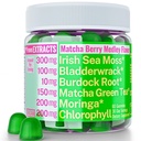 Moringa Irish Sea Moss Chlorophill Eclog Green Tea Burdock Root Bladderwrack Super Greens Gummies, Powder Capsules Pipon Drops Oil Tincture Suplemen Alt, Organik Green Seamoss