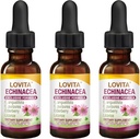 Lovita Echinacea Extract Liquid 124; 1 FL OZ 124; 350 mg per Serving 124; konsentrasi Herb Tincture 124; Vegan 124; Alcohol- Gratis 124; dengan Elderberry dan Licorice Ektract (Kemasan 3)
