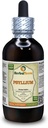 Psyllium (Plantago Ovata) Tincture, Organic Dry Husk Liquid Extract (Nama Merek: HerbalTerra, Proughtly Made in USA) 4 f.oz (120 ml)