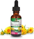 Nature 's Respon EleCampane Root dengan Alkohol Organik, 1 - Fluid Ounce