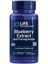 Extract Blueberry Hidup dan Pomegranate, Dukungan Kesehatan arteri, Pertahanan antioksidan, Gluten- Bebas, Non-GMO, Vegetarian, 60 Vegetarian Capsules