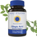 Peremajaan Therapeutics High Potency Ellagic Acid Capsules 250mg 124; Immerprove Immunity & Hapus Oxidative Stress 124; Premium Organic & Vegan 124; 30 Capsules 250 mg