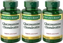 Nature 's Bounty Glucosamine Chondroitin Complex, 110 Count (Paket 3)