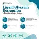 NerveFactor - Advanced Nerve Dupport Suplemen - Liquid Deliquid for Better Absorpsi - AcetylL- Carnitine, Alpha Lipoic Acid, Vitamin B12, Folic Acid, White Willow Bark & More!