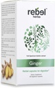 Rebel Herbs Ginger Capsules Powerful Dual Extract, Non- GMO, Gluten Free, Ginger Root (Rhizome) Ekstrak