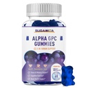 Gummies GPC Choline 600mg dengan PFoshatidylserine & Bacopa - 3-in- 1 Dukungan Otak untuk Memori, Fokus & Panjang Masa Kesehatan Kognitif - Sugar- Free, Natural Formula, 60 Count