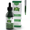 Klorofil Liquid Drops - 100% Natural Energy Booster and Imune Support - Internal Deodoran dan Detox - Bantuan Ketinggian - Absorpsi Cepat, Vegan & None-GMO - 120 Servings (Paket 1)