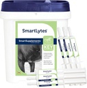 SmartEquine SmartLytes Horse Electrolyte Supplement & SmartLytes Temple Horse Electrolite Patte 6 Tubes Bundle, Envouges Hydration, Replenishes Electrolytes, No Added Sugar