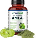 FineLand Amla (Indian Goseberry) 20X Full Spectrum Extract - 30.600mg Equality per Serving dengan BioPerine ® untuk Absorpsi, Rich in Natural Vitamin C, Imune & Digetives Dukungan - 90 Vegan Capsules