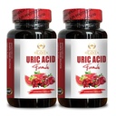 Support URIC Acid - Urinary Tract, Advanced Herbal Formula, Tart Cherry, Celery Extract, Turmeric, Uric Acid, Gabungan Kesehatan - 2 Botol 120 Capsules