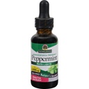 Alam? Jawaban Peppermint Leaf x Piperita Gluten Free Herbal Suppplement Support Healthy Digetical Fungsi?