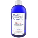 10 plum 16 oz Colloidal Silver Natural Ammune Dukungan Kesehatan Tambahan