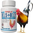Farmalab B12 B15 untuk Roosters B15 B12 para Gallos 100 Tablet