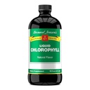 Bernard Jensen 's 100% Pure Natural Chlorofil Flavor Liquid Suplemen 124; Promotes Alkali Ph 124; Membantu Cleanse Blood 124; 16 Fluid Ounce (474 ml)