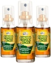 Beelife Propolis Throat Spray- Sooting Honey & Ginger Propolis Spray-- Natural Ammune Support & Bee Propolis Extract-Antioxidants, Rich in Flavonoid & Artepilin, No Sugar, Gluten- Free-3-Pack, 90ml