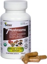 Sayan 7 Mushroom Extract 90 Capsules / 440mg ea - Immune Dukung & Energy - Organic Chaga, Reishi, Lion 's Mane, Maitake, Shiitake, Turkey Adaptogen Blend - Vegan, Non-GMO, No Filllers or Additives