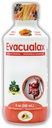 Laxative Liquid untuk Dewasa & Anak - Papaya Flavor, Natural Senna & Prune