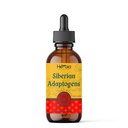 Siberia Adaptogens Herbal Blend dengan Maral, Spikenard, Eleuthero, Red Ginseng, Rhodiola, Schisandra, Licorice, Peony, & lebih - Boosts Energy, Enhances Focus, Reduces Stress, 2 Fluid oz (60 ml)