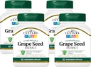 Abad ke-21 Benih Grape Ekstrak Veg Capsules, 60 Cacah (21378) (Paket 4)