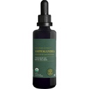 Global Healing Center - Organic Ashwagandha Suplemen Drops - KSM-66 Ashwagandha Kekuatan Ekstra untuk Pria & Women, Membantu Bantuan Provious dari Stress, Mood Dukungan, Organik (2 Fl Oz)