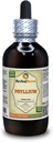 Psyllium (Plantago Ovata) Tincture, Organic Dryed Seed Liquid Extract (Nama Merek: HerbalTerra, Proughtly Made in USA) 4 f.oz (120 ml)