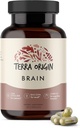 Terra Origin, Suplemen Otak Sehat, Kapsul, 30 Pelayan, dengan CDP Choline, Ginkgo Biloba Ekstraksi, dan Bacopa - untuk Pikiran sehat, Memori Improve, Recall dan Fungsi