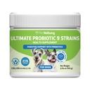 Pet Wellbeing - Ultimate Probiotic Strains 9 for Cats and Dogs - Dukungan Natural for Ditraffic and Urinary Tract Health 160 Grams.