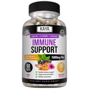Dukungan Elderberry Immune Kaya, Elderberry dengan Zinc dan Vitamin C untuk Vitamin Dewasa, Progoric & Turmeric 1000mg System Booster Sambucus Capsules - 60 Count