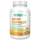 Now Foods Suplemen, BerryDophilus ™ with 2 billion, 10 Prototic Strains, Xylitol Sweetened, Strain Verified, 120 Chewables, packing mungkin bervariasi